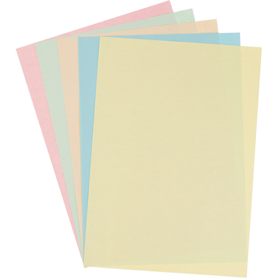 Бумага цветная для офисной техники ProMega Pastel микс (А4, 80 г/кв.м, 5 цветов по 20 листов) 