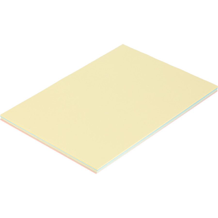 Бумага цветная для офисной техники ProMega Pastel микс (А4, 80 г/кв.м, 5 цветов по 20 листов) 