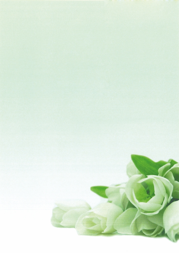 Дизайн-бумага DECAdry Star Collection, А4, 20 л, 90 г/м2, Белые цветы