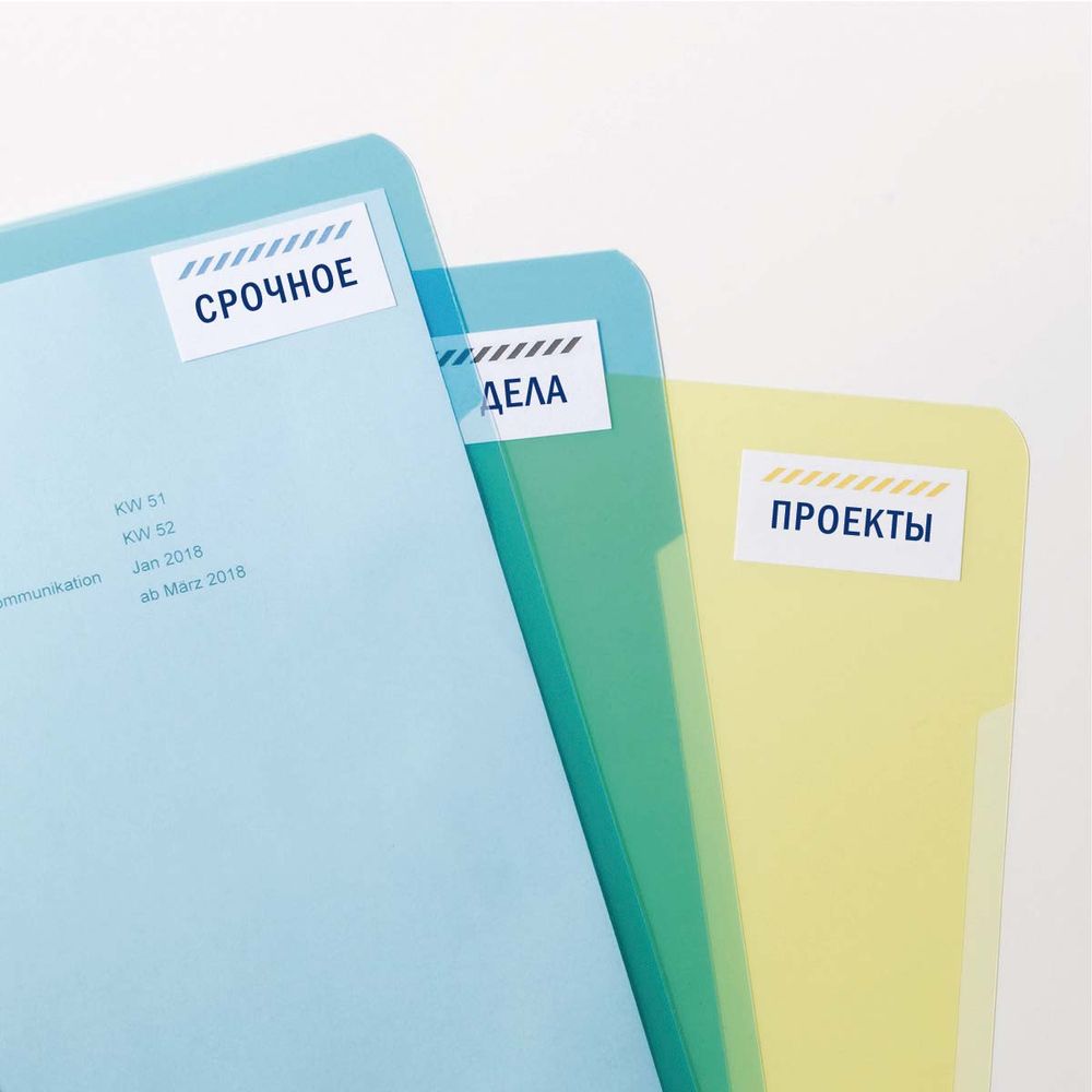 Этикетки Avery Zweckform Европа-100 универсальные, L+CL, 210х297мм, А4, 1шт/л, 100л/уп ELA027