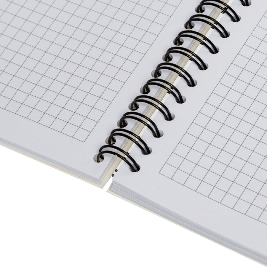 Бизнес-тетрадь 100л, А5, клетка, спираль, Attache Selection LightBook 