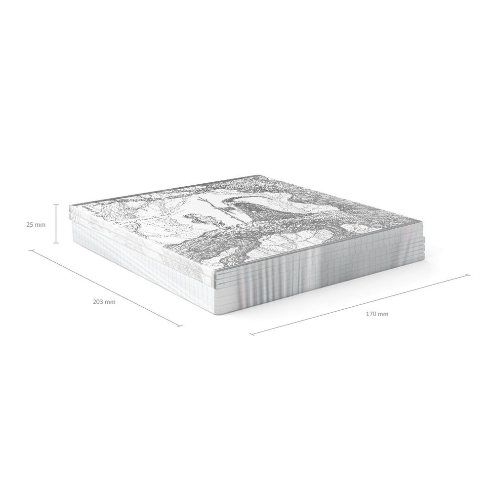 Тетрадь общая ученическая ErichKrause Монохромная история, 48 листов, клетка, твин-лак