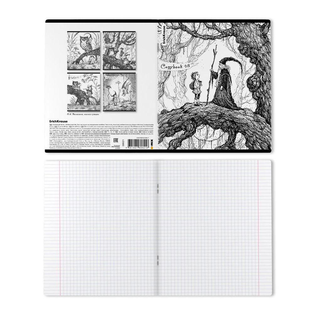 Тетрадь общая ученическая ErichKrause Монохромная история, 48 листов, клетка, твин-лак