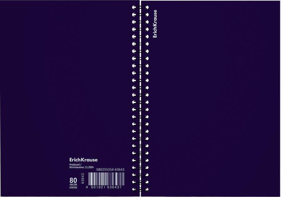 Тетрадь общая с пластиковой обложкой на спирали ErichKrause Reef индиго, А5, 80 листов, клетка