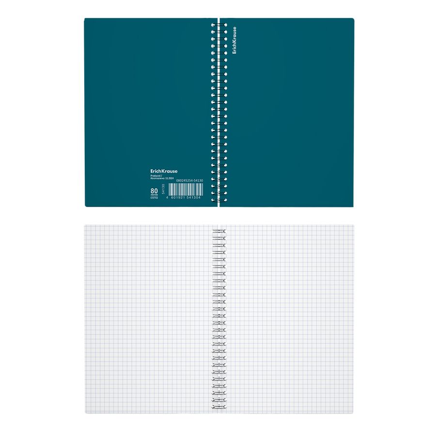 Тетрадь общая с пластиковой обложкой на спирали ErichKrause Reef бирюзовый, А5, 80 листов, клетка