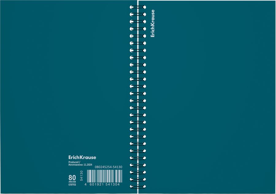 Тетрадь общая с пластиковой обложкой на спирали ErichKrause Reef бирюзовый, А5, 80 листов, клетка