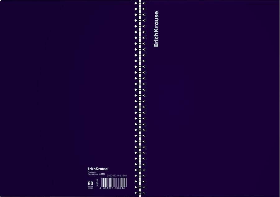 Тетрадь общая с пластиковой обложкой на спирали ErichKrause Reef индиго, А4, 80 листов, клетка