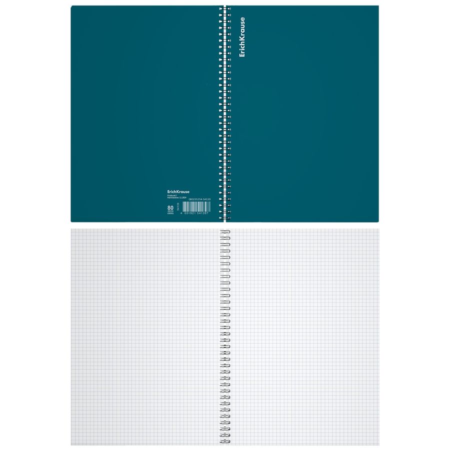 Тетрадь общая с пластиковой обложкой на спирали ErichKrause Reef бирюзовый, А4, 80 листов, клетка