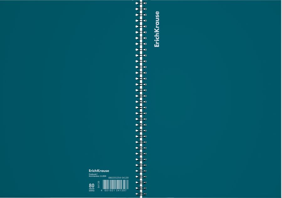 Тетрадь общая с пластиковой обложкой на спирали ErichKrause Reef бирюзовый, А4, 80 листов, клетка