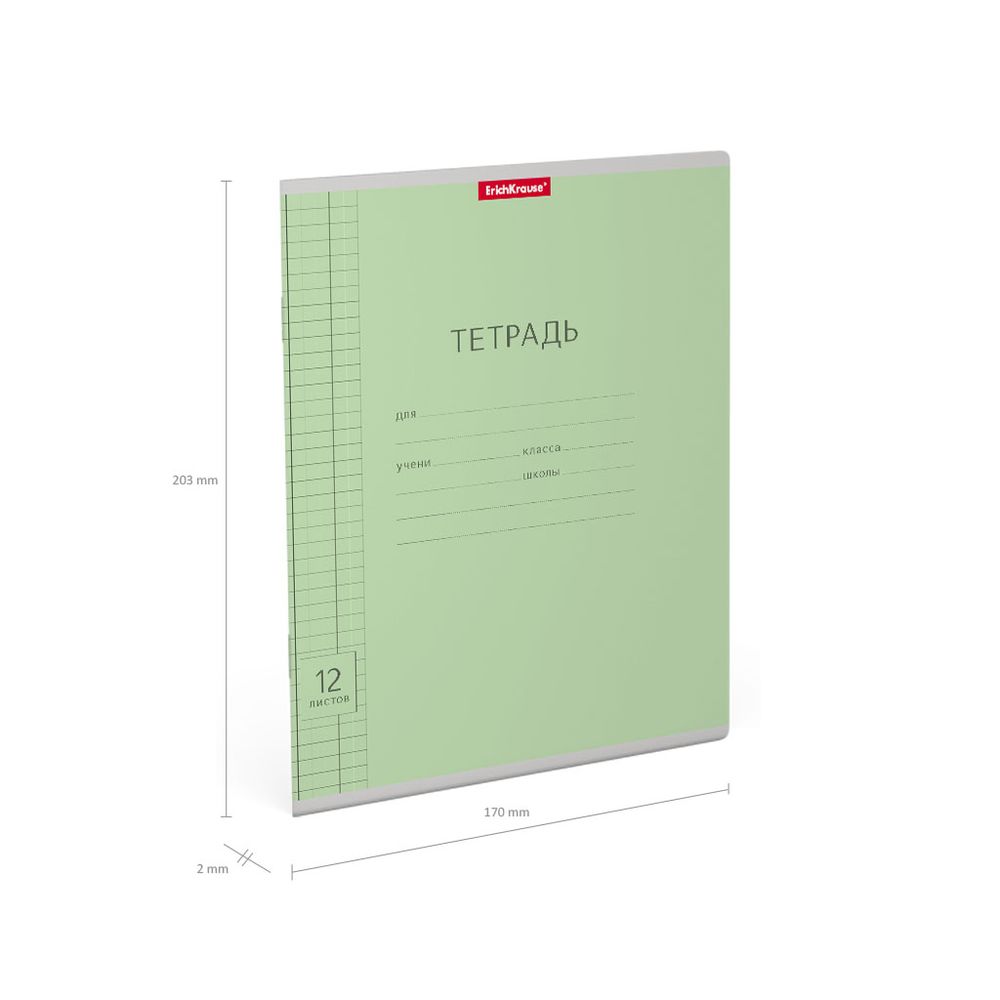 Тетрадь школьная ученическая ErichKrause Классика Visio зеленая, 12 листов, клетка