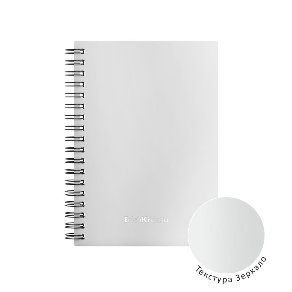 Тетрадь общая с пластиковой обложкой на спирали ErichKrause Candy, серебряный перламутр, А6, 80 листов, клетка