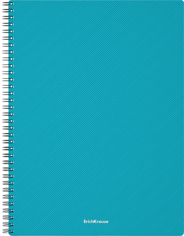 Тетрадь общая с пластиковой обложкой на спирали ErichKrause Glance Vivid, ассорти, А4, 80 листов, клетка