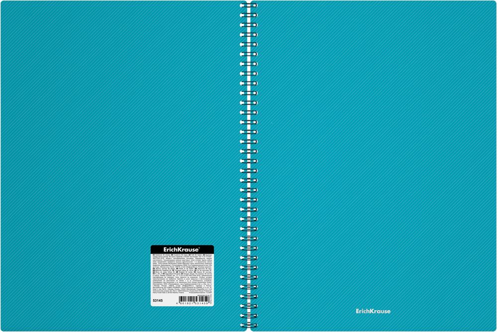Тетрадь общая с пластиковой обложкой на спирали ErichKrause Glance Vivid, ассорти, А4, 80 листов, клетка