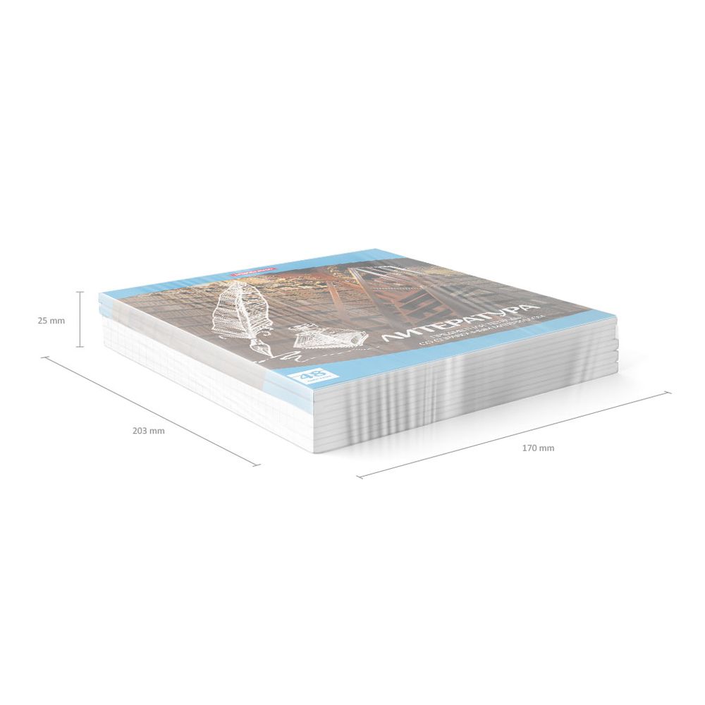 Тетрадь общая ученическая ErichKrause Перспектива, Литература, 48 листов, линейка