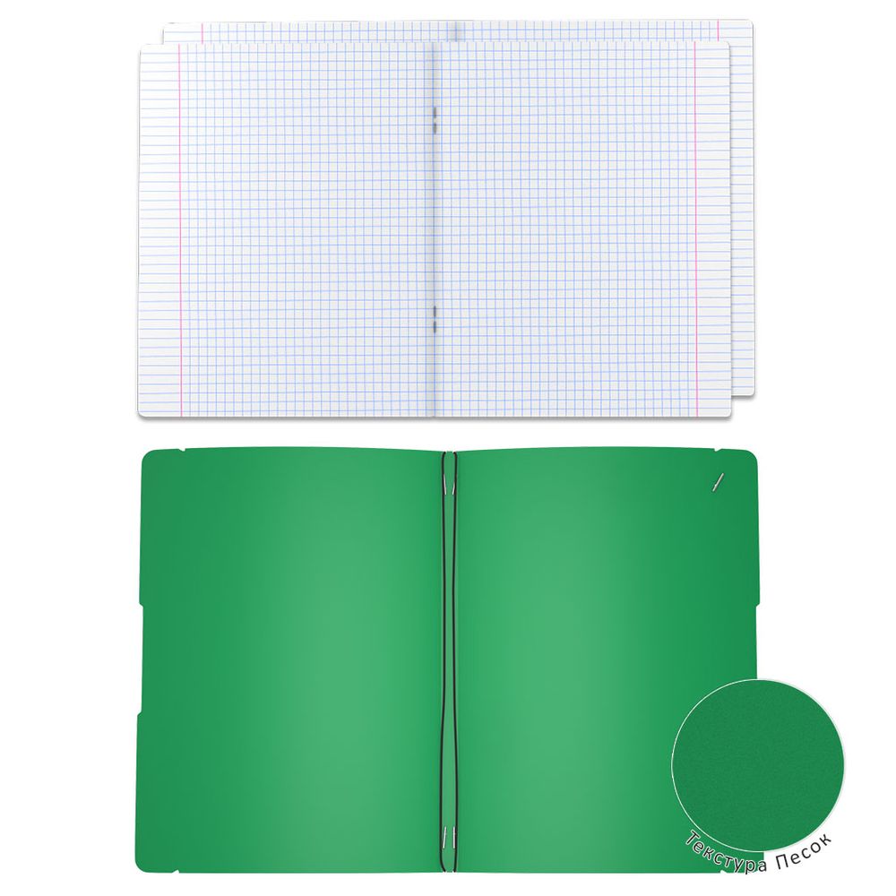 Тетрадь общая ученическая в съемной пластиковой обложке ErichKrause FolderBook Classic, зеленый, А4, 2x48 листов, клетка