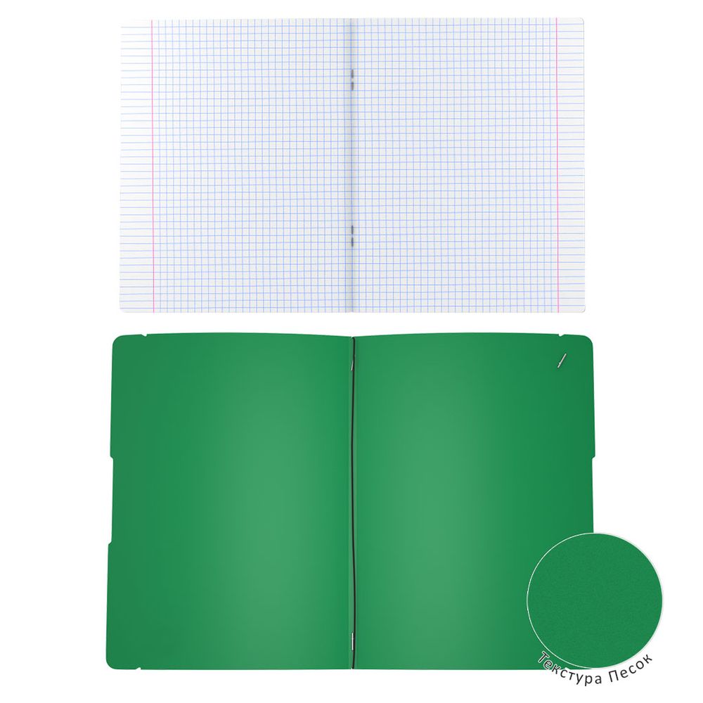 Тетрадь общая ученическая в съемной пластиковой обложке ErichKrause FolderBook Classic, зеленый, А4, 48 листов, клетка