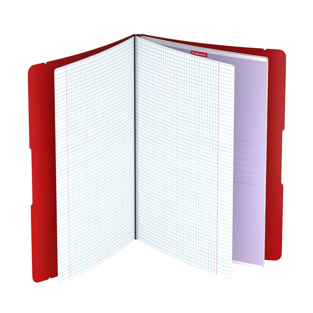 Тетрадь общая ученическая в съемной пластиковой обложке ErichKrause FolderBook Classic, красный, А4, 2x48 листов, клетка