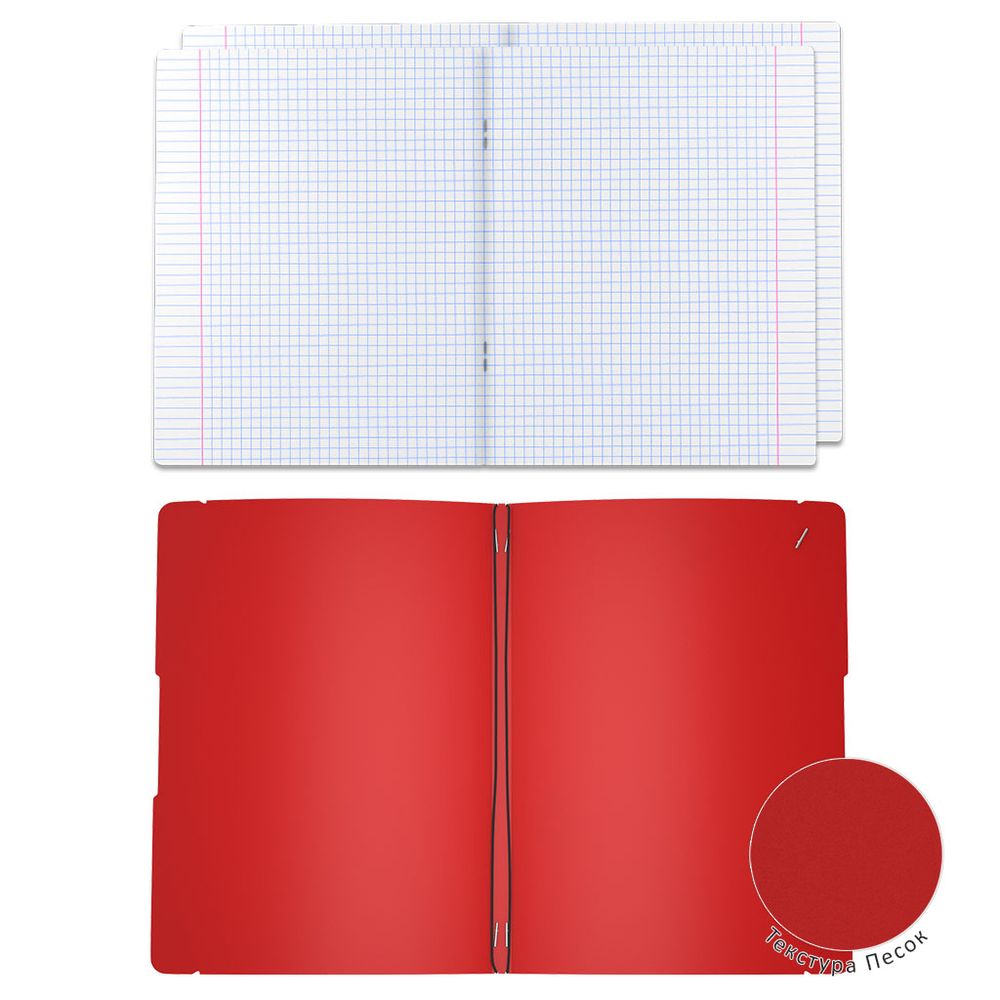 Тетрадь общая ученическая в съемной пластиковой обложке ErichKrause FolderBook Classic, красный, А4, 2x48 листов, клетка