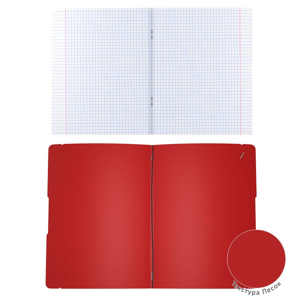 Тетрадь общая ученическая в съемной пластиковой обложке ErichKrause FolderBook Classic, красный, А4, 48 листов, клетка
