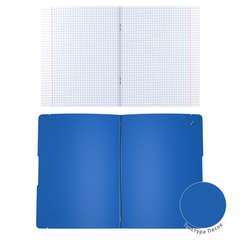Тетрадь общая ученическая в съемной пластиковой обложке ErichKrause FolderBook Classic, синий, А4, 48 листов, клетка
