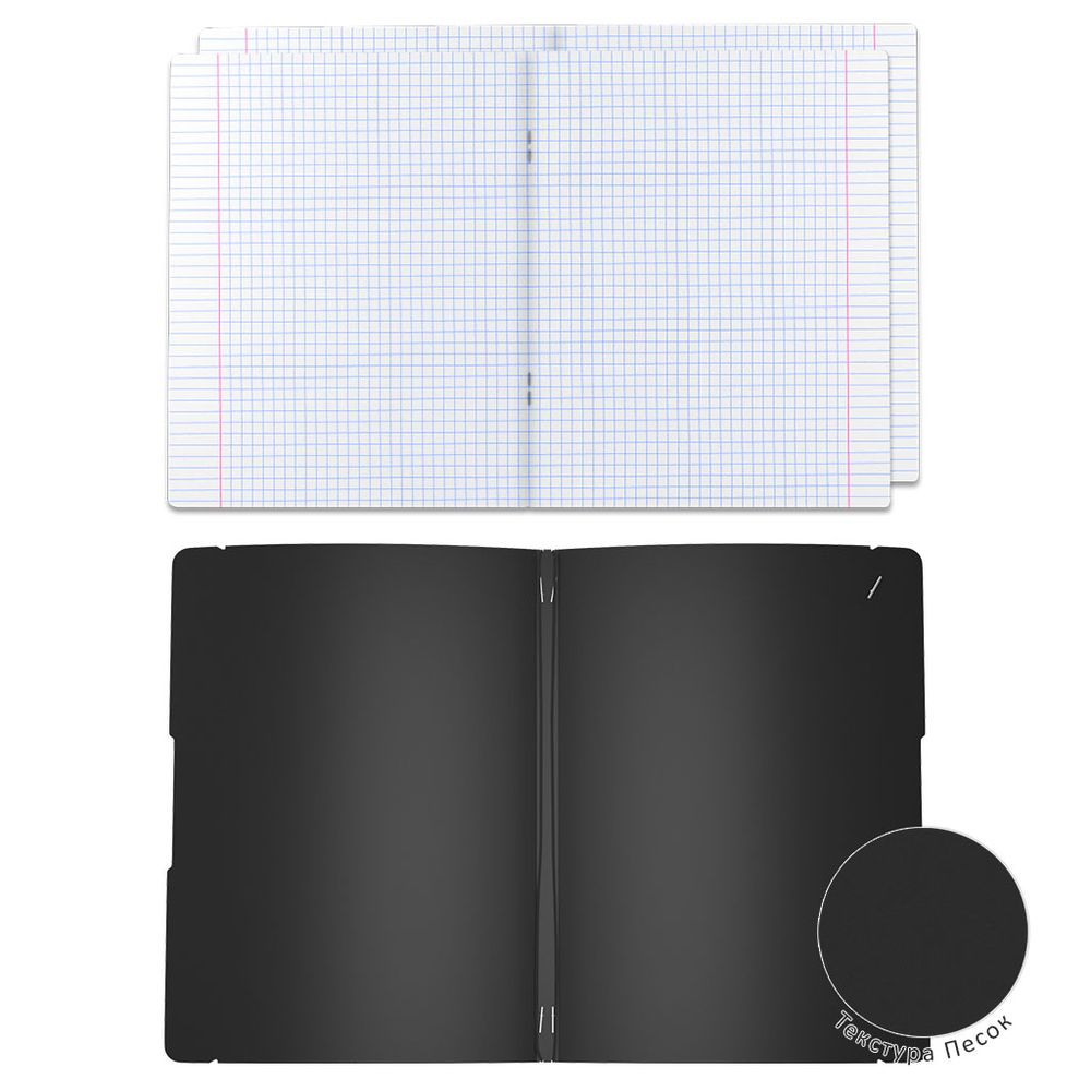 Тетрадь общая ученическая в съемной пластиковой обложке ErichKrause FolderBook Classic, черный, А4, 2x48 листов, клетка