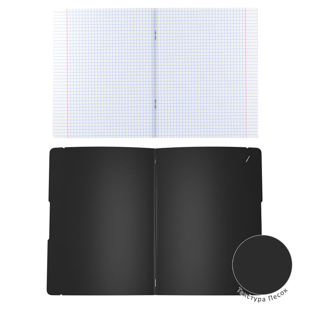 Тетрадь общая ученическая в съемной пластиковой обложке ErichKrause FolderBook Classic, черный, А4, 48 листов, клетка