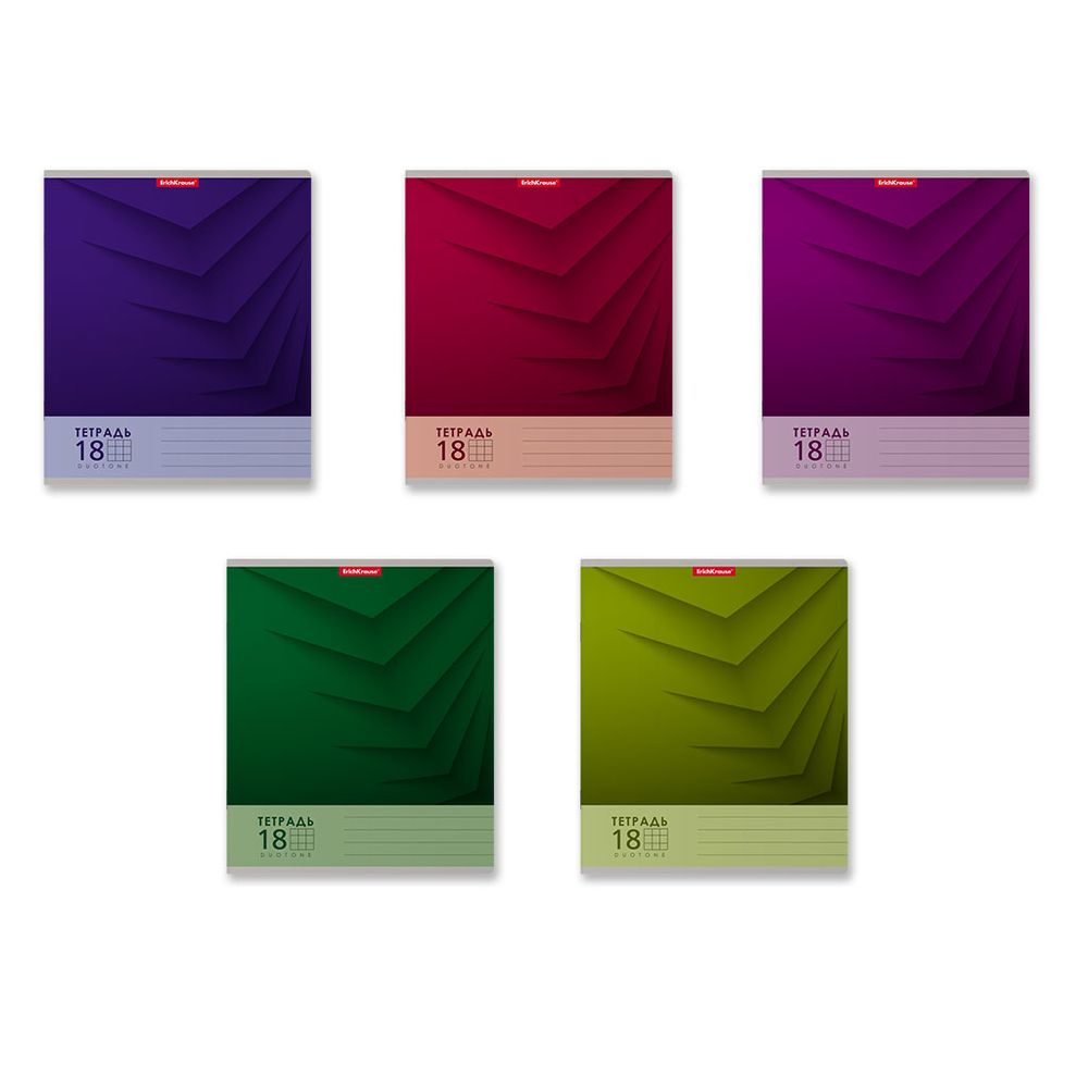 Тетрадь школьная ученическая ErichKrause Duotone Next ассорти, 18 листов, клетка _MIX-PACK