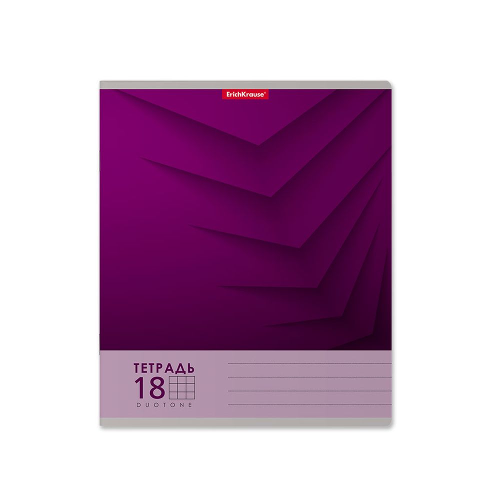 Тетрадь школьная ученическая ErichKrause Duotone Next ассорти, 18 листов, клетка _MIX-PACK