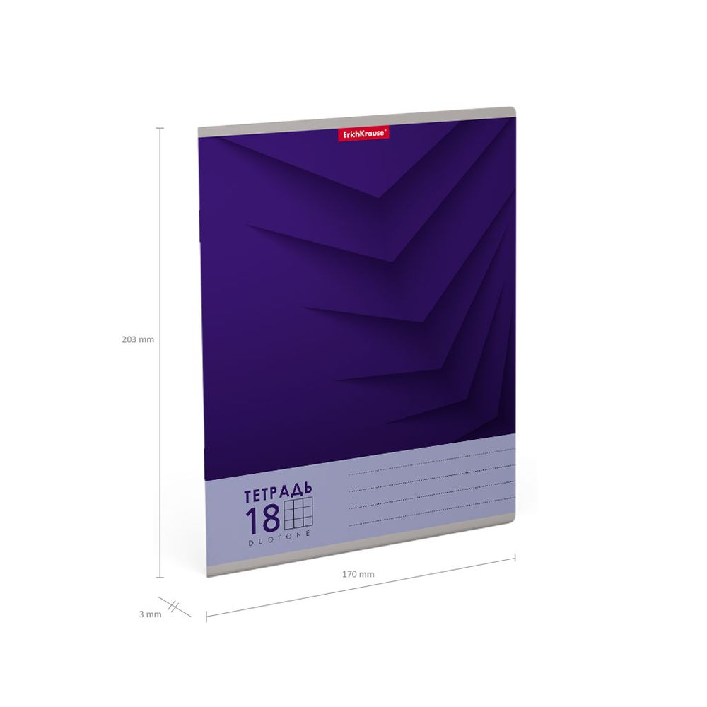 Тетрадь школьная ученическая ErichKrause Duotone Next ассорти, 18 листов, клетка _MIX-PACK