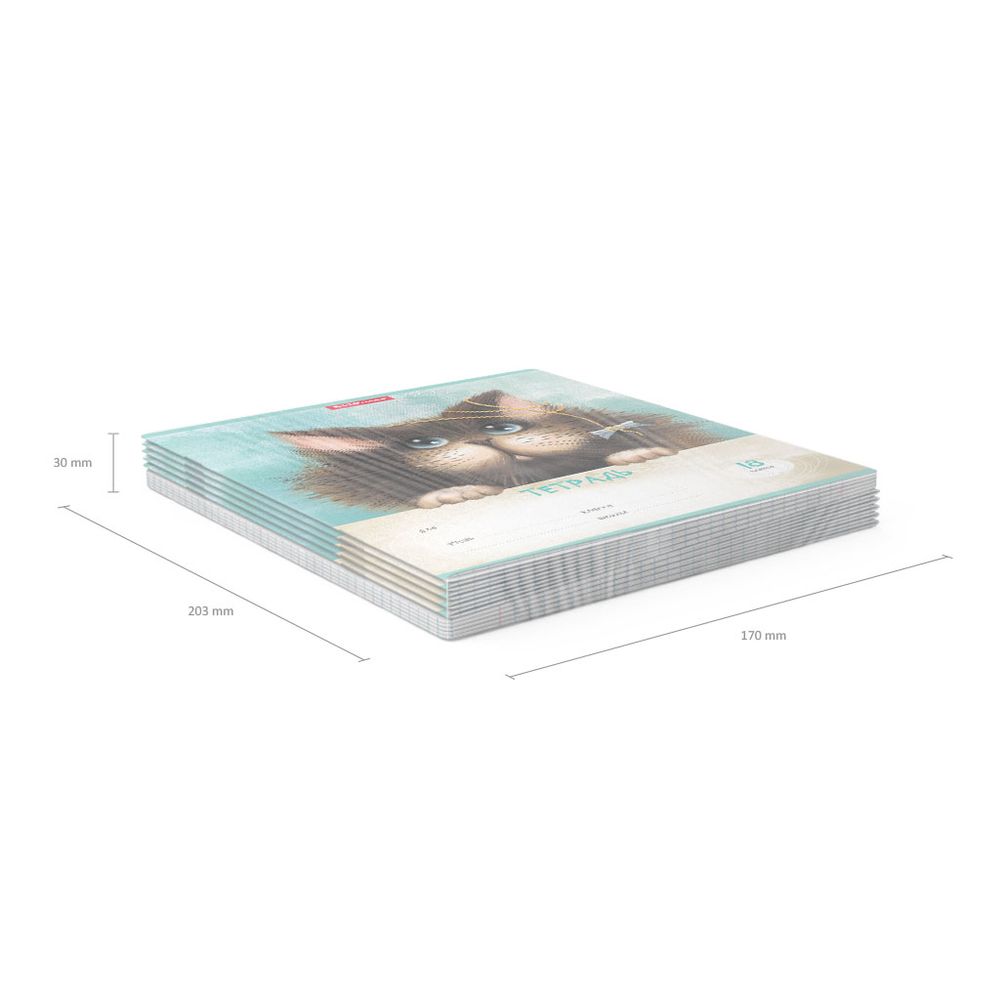 Тетрадь школьная ученическая ErichKrause Funny Cats, 18 листов, клетка _MIX-PACK