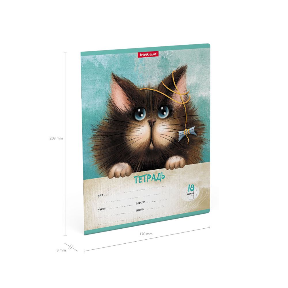 Тетрадь школьная ученическая ErichKrause Funny Cats, 18 листов, клетка _MIX-PACK