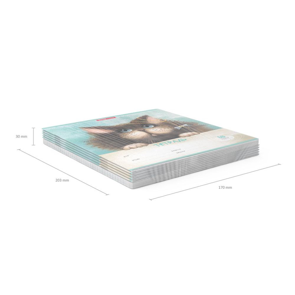 Тетрадь школьная ученическая ErichKrause Funny Cats, 18 листов, линейка _MIX-PACK