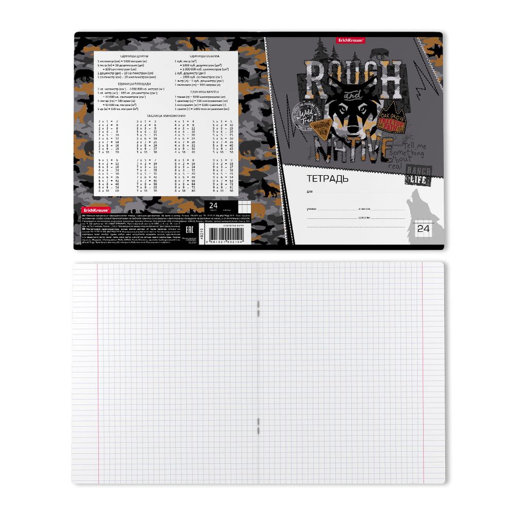 Тетрадь школьная ученическая ErichKrause Rough Native, 24 листа, клетка