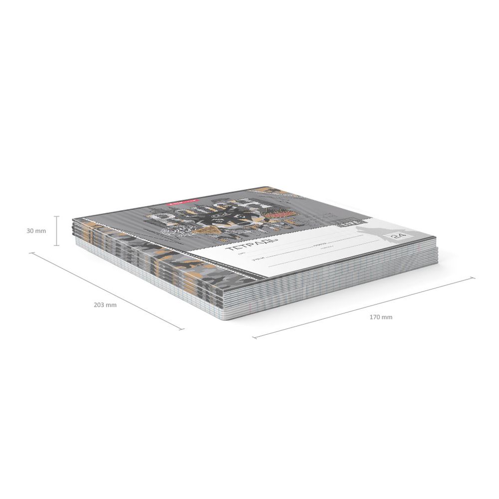 Тетрадь школьная ученическая ErichKrause Rough Native, 24 листа, клетка