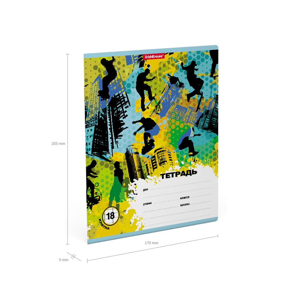 Тетрадь школьная ученическая ErichKrause Skateboarder, 18 листов, клетка 