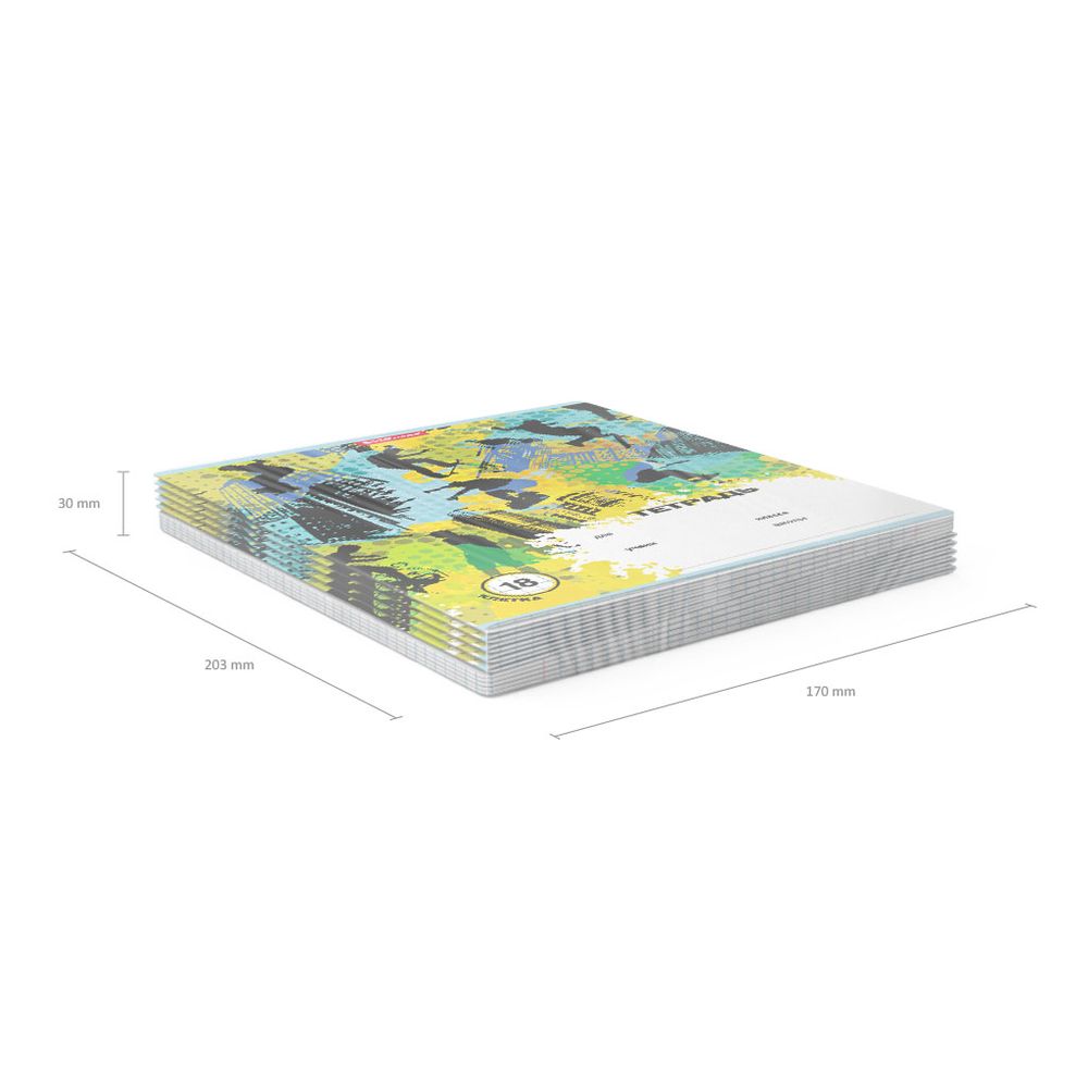 Тетрадь школьная ученическая ErichKrause Skateboarder, 18 листов, клетка 