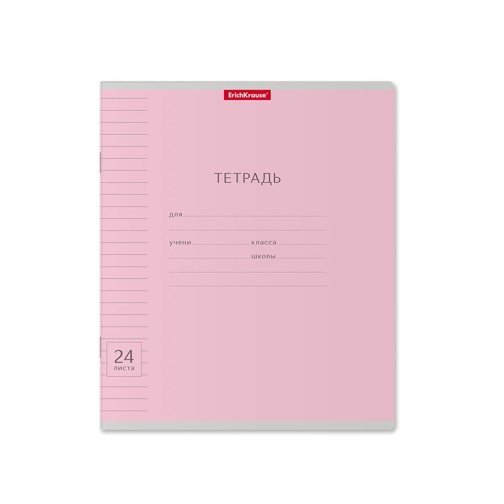 Тетрадь школьная ученическая ErichKrause Классика Visio ассорти, 24 листа, линейка _MIX-PACK