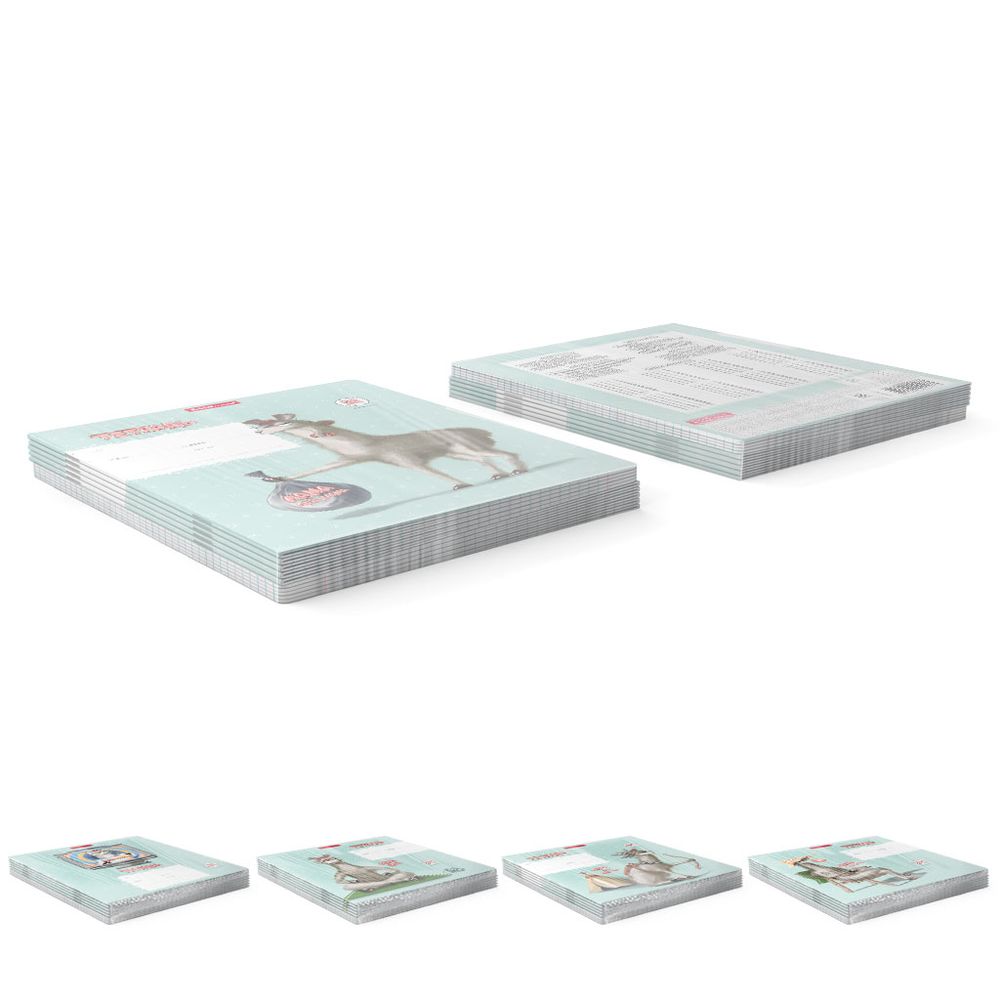 Тетрадь школьная ученическая ErichKrause Лама, 24 листа, клетка _MIX-PACK