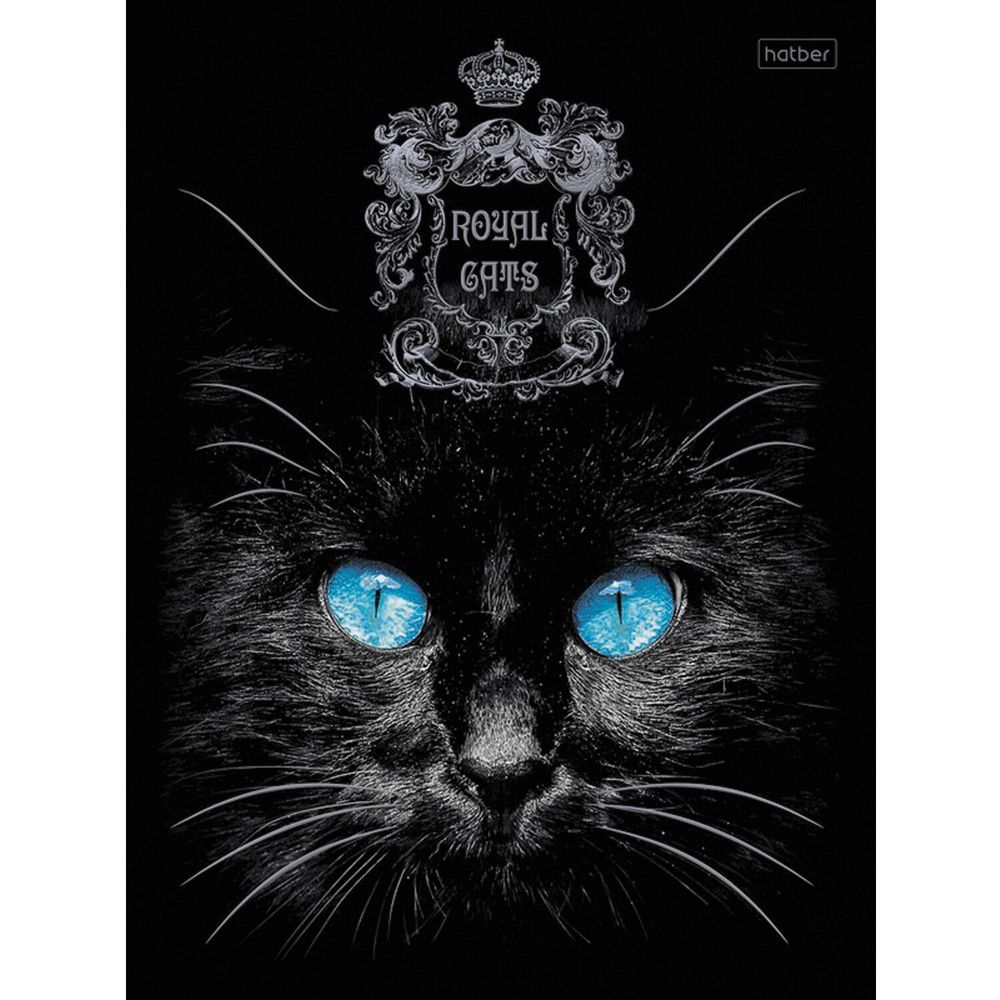Тетрадь А5, 48 л., HATBER, скоба, клетка, матовая ламинация, 3D, "RoyalCats" (5 видов в спайке)