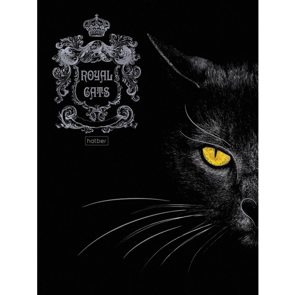 Тетрадь А5, 48 л., HATBER, скоба, клетка, матовая ламинация, 3D, "RoyalCats" (5 видов в спайке)