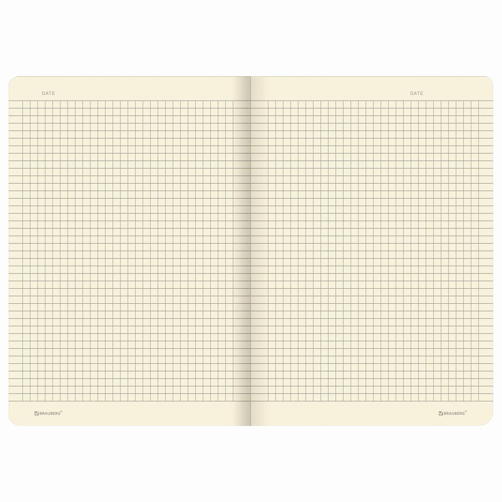 Тетрадь 40 л. в клетку обложка SoftTouch, бежевая бумага 70 г/м2, сшивка, А5 (147х210 мм), ВОЛК В ОЧКАХ, BRAUBERG