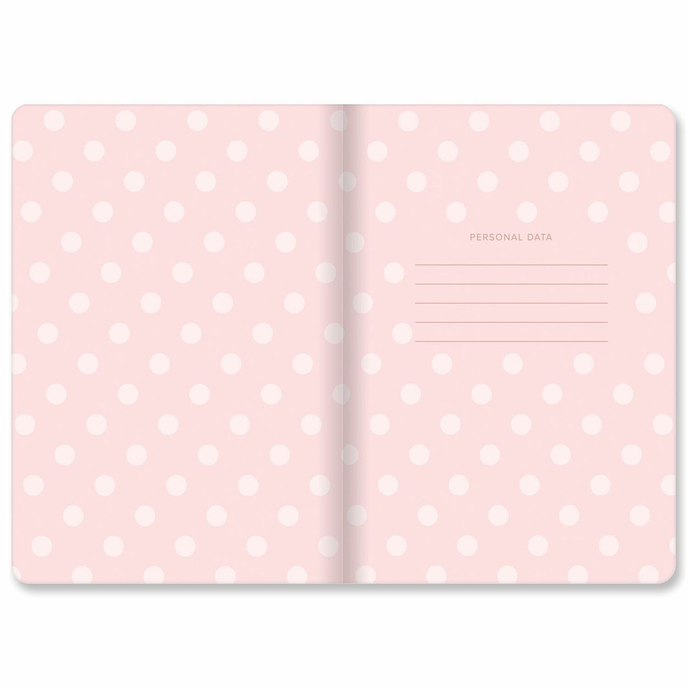 Тетради 40 л. в клетку обложка SoftTouch, НАБОР 3 шт., бежевая бумага 70 г/м2, сшивка, А5 (147х210 мм), JOY, BRAUBERG