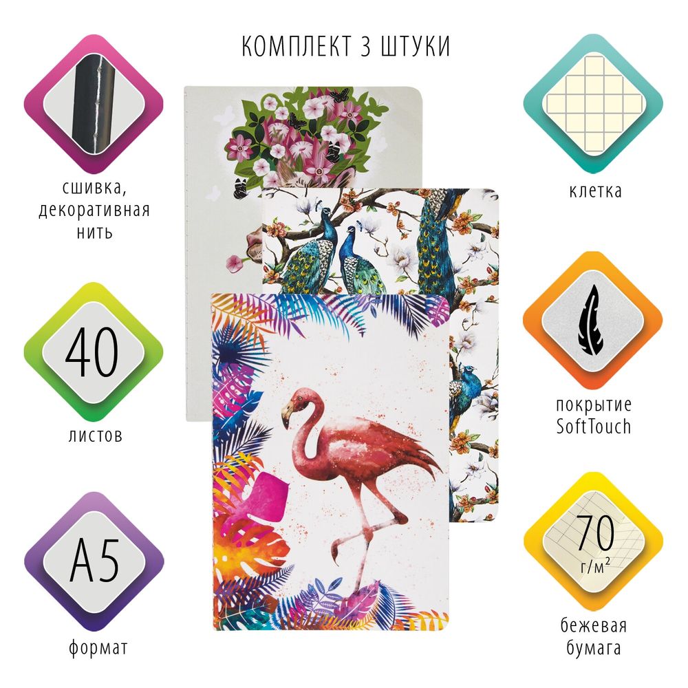 Тетради 40 л. в клетку обложка SoftTouch, НАБОР 3 шт., бежевая бумага 70 г/м2, сшивка, А5 (147х210 мм), SUMMER, BRAUBERG