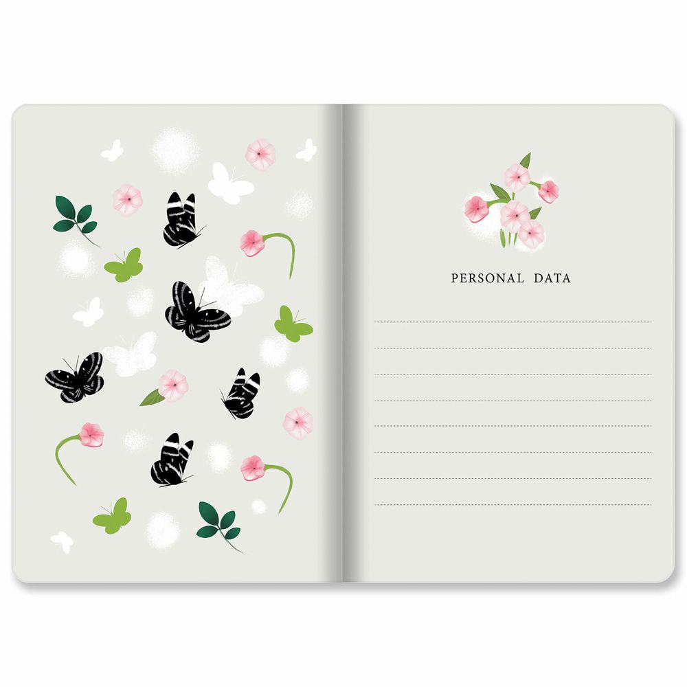 Тетради 40 л. в клетку обложка SoftTouch, НАБОР 3 шт., бежевая бумага 70 г/м2, сшивка, А5 (147х210 мм), SUMMER, BRAUBERG