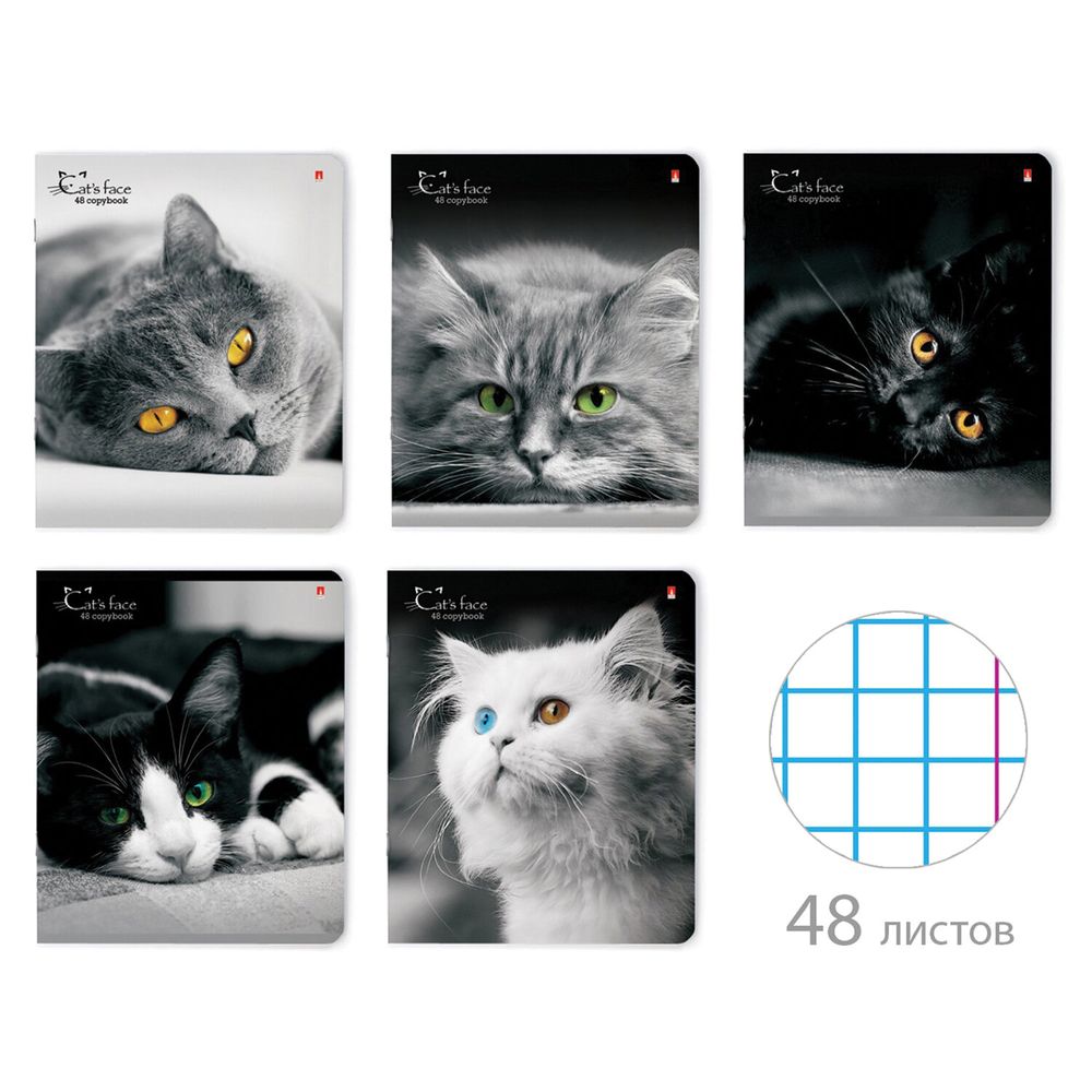 Тетрадь А5 48 л. АЛЬТ скоба, клетка, глянцевый лак, "Кошки. Яркий взгляд" (5 видов)