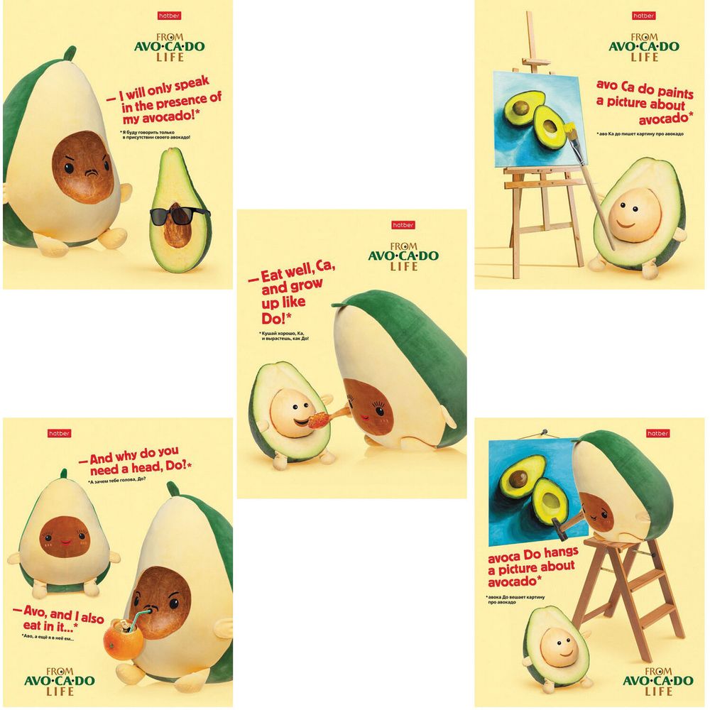 Тетрадь А5, 48 л., HATBER, скоба, клетка, обложка картон, AvoCaDo life (5 видов в спайке)