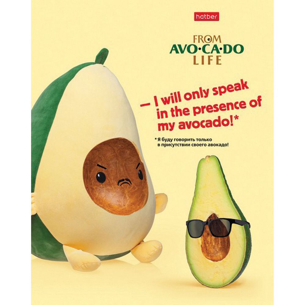 Тетрадь А5, 48 л., HATBER, скоба, клетка, обложка картон, AvoCaDo life (5 видов в спайке)