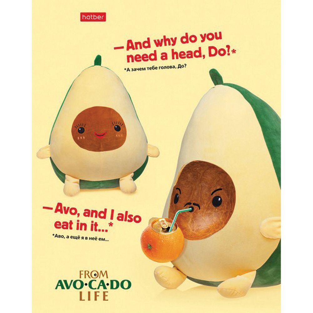 Тетрадь А5, 48 л., HATBER, скоба, клетка, обложка картон, AvoCaDo life (5 видов в спайке)