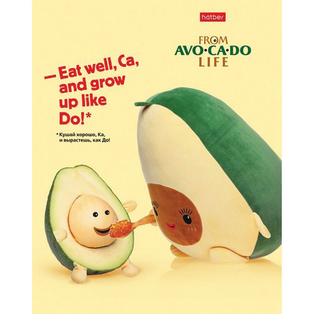 Тетрадь А5, 48 л., HATBER, скоба, клетка, обложка картон, AvoCaDo life (5 видов в спайке)