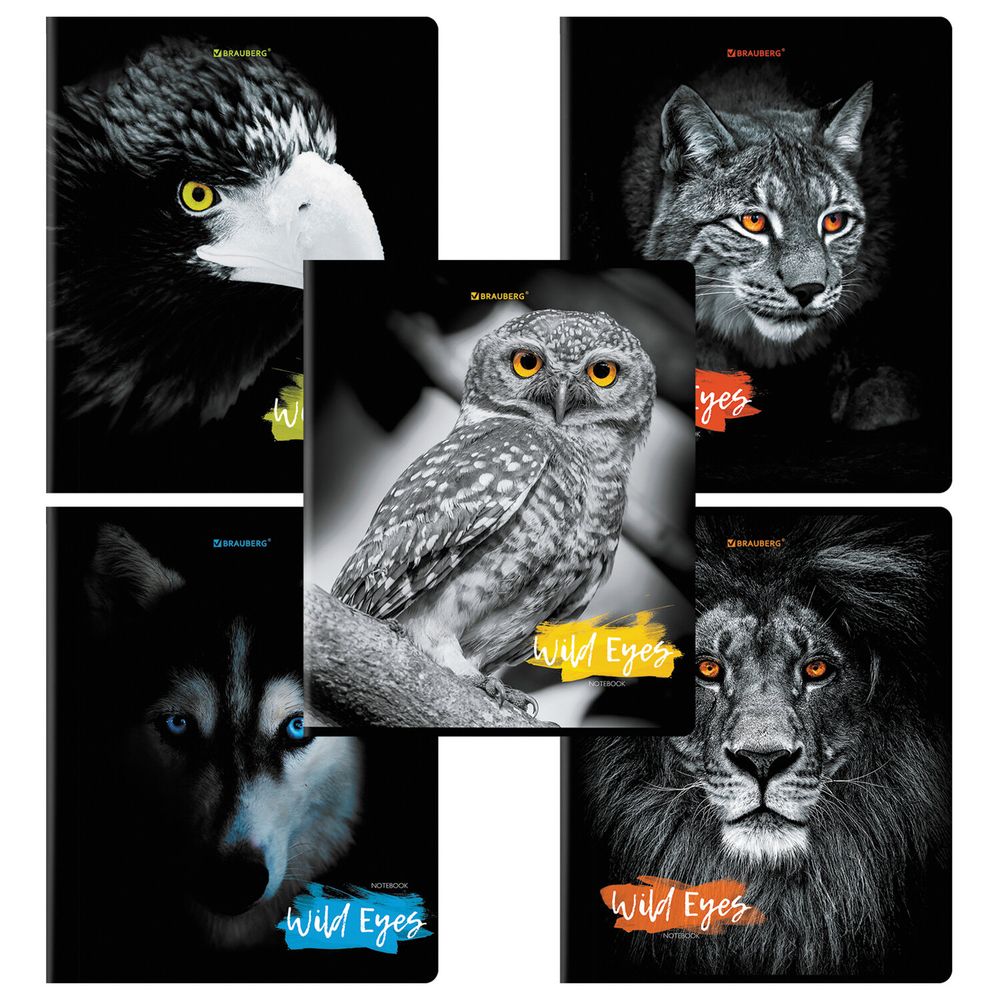 Тетрадь А5, 48 л., BRAUBERG, скоба, клетка, выборочный лак, "Wild eyes" (микс в спайке)